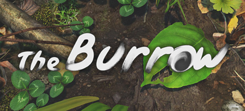 projects-pic-new-burrow